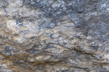 Unpolished rough or raw marble surface texture.1