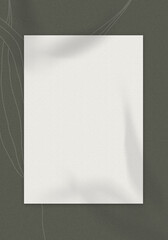 Mockup with blank paper sheet, shadows of eucalyptus leaves, line art of eucalyptus branches on dark green