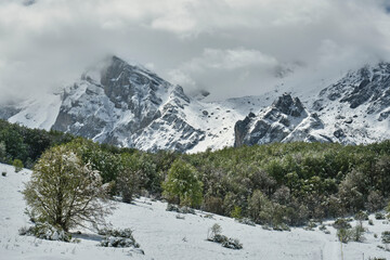GRAN SASSO: Ultima neve di primavera in Val Maone - Pietracamela / Teramo