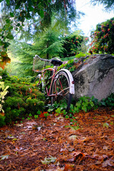 A vintage bicycle, weathered by time, leans against a moss-covered rock amidst a forest floor blanketed in autumn leaves, evoking memories of days gone by.