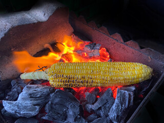 Tender sweet corn is being roasted on fire.