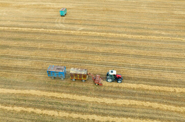 Farm field, farmers work with tractor on farmland,