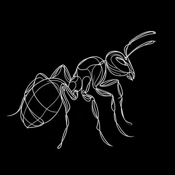 A drawing of an Ant with a long body and a long antennae on a black background.