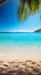 
Imagine
3d




Sunny tropical ocean beach with palm trees and turquoise water background