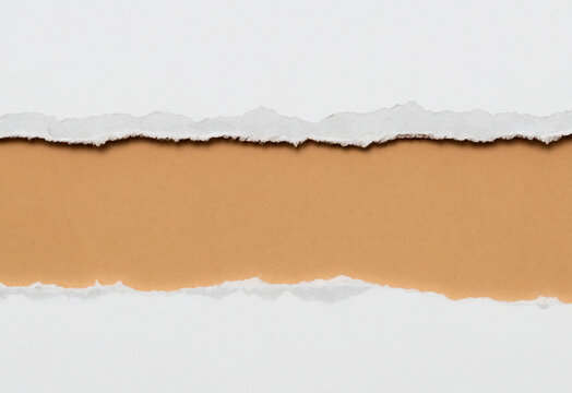 Two sheets of torn paper lie as horizontal strips on brown cardboard