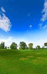 Landscape, field and nature in environment, trees and land with peace, blue sky and ecosystem in countryside. Sustainability, morning and grass for golf, scenery and outdoor, greenery and park