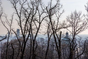 Obraz premium The city of Brescia awakens in the soft haze of spring, with the iconic Duomo dome emerging amidst leafless trees, blending the natural with the urban in a serene tableau