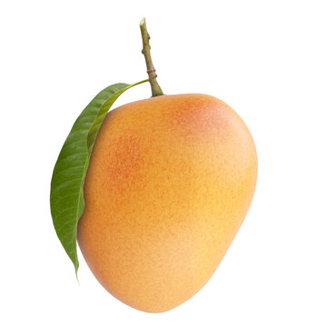 Alphonso mango with leaf and stem isolated white background