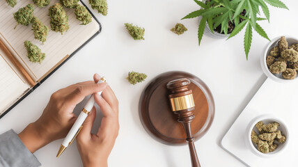 Hands writing near cannabis buds, gavel, and potted plant on a desk.