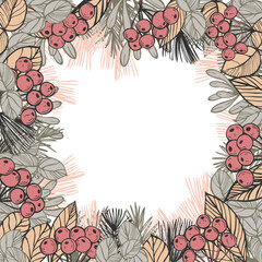 Vector background  with Christmas plants and berries.