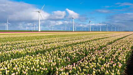 A vibrant field of tulips stretches out with elegant wind turbines spinning in the distance,...