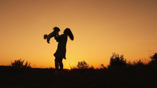 Silhouette of a young woman at sunset throwing up and circling her beloved dog. Walking with a dog in nature