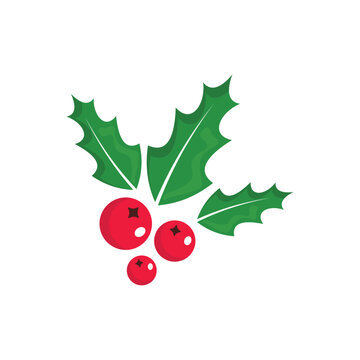 Holly berry vector icon. Merry Christmas symbol illustration isolated on white background
