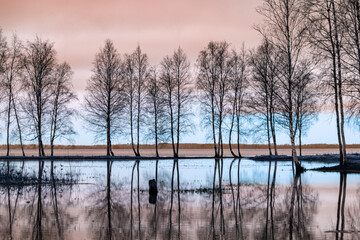 landscape with a flooded lake, dark silhouettes of trees in the backlight, reflections of trees in the water, spring