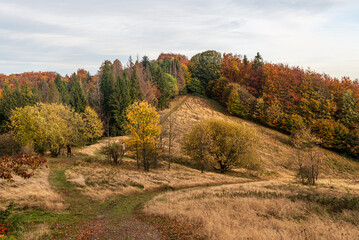 Sedlo pod Malou Kykulou and Mala Kykula hill in autumn Moravskoslezske Beskydy mountains in Czech republic