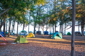 Tourist tent camping under the trees with sunset.