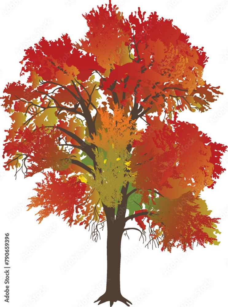 Wall mural bright red fall tree isolated on white background