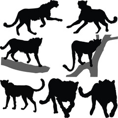 seven cheetah silhouettes isolated on white