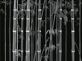 light and dark grey bamboo branches