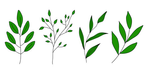 Set of different branches with leaves, doodle style vector