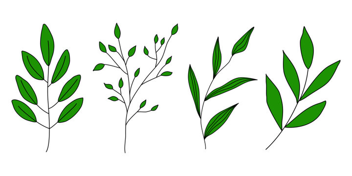 Set of different branches with leaves, doodle style vector
