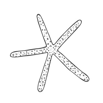 Doodle starfish, hand-drawn sea symbol. Five-finger organism painted by ink, pen. Line, minimalism. Simple sketchy icon. Isolated.