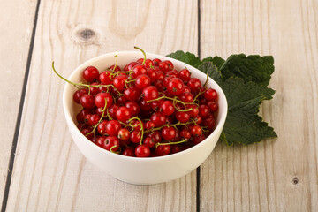 Ripe sweet organic red currant heap