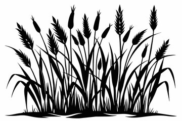 Grass Black and White, Grass Drawing White Background.