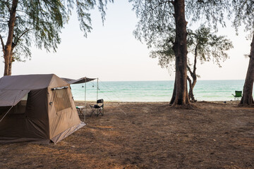 Camping tent on sand under tree pine in the morning, Outdoor lifestyle concept.