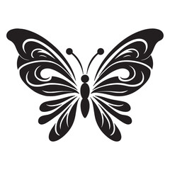 black and white butterfly illustration