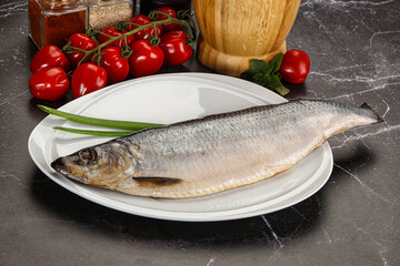 Whole raw salted herring fish