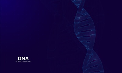 Wireframe dna structure. 3D digital genetic model. Scientific background. Vector illustration.