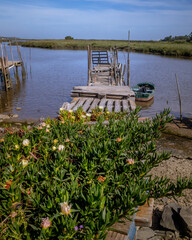 Fototapeta premium Comporta