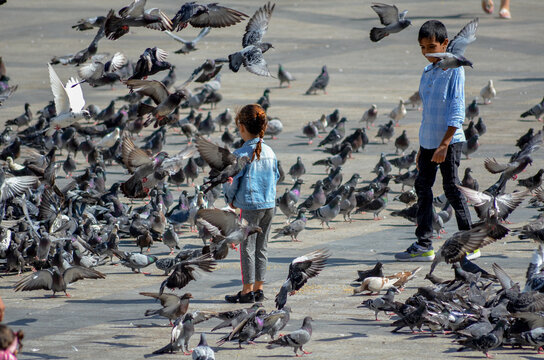 Children playing feeding pegeons in italy .
