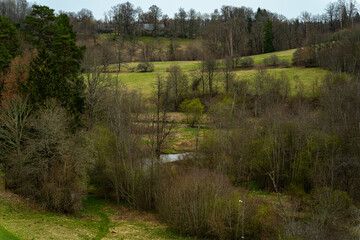 landscape with trees in spring