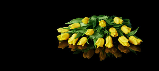 Fifteen yellow tulips on a black, mirror background.