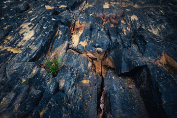 Virew of volcanic rocks textured background.