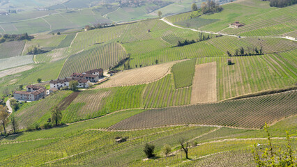 Fototapeta na wymiar Amazing landscape of the vineyards of Langhe in Piemonte in Italy during spring time. The wine route. An Unesco World Heritage. Natural contest. Rows of vineyards