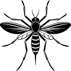 mosquito vector illustration