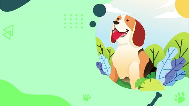 pets care