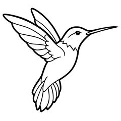 hummingbird in flight