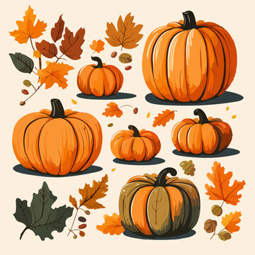 collection of pumpkins and leaves with a fall theme