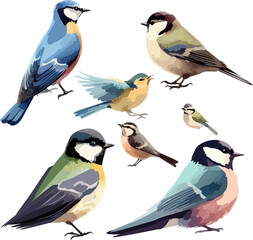 set of various watercolor birds 