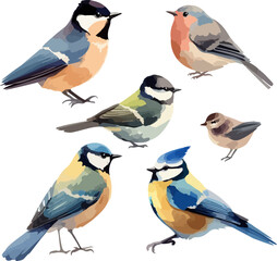 set of various watercolor birds 