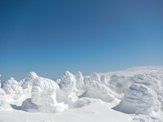 雪に覆われた南蔵王 樹氷 雪山