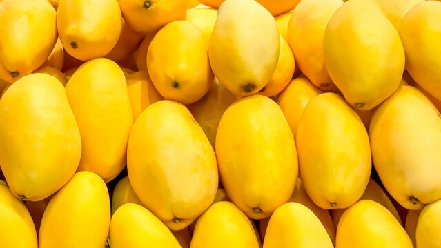 Vibrant, fresh, yellow mangoes neatly aligned offer a tropical treat, tips for healthy diets, radiating sunny warmth and sweet flavors from a fruitful market display. Healthy food and harvest concept