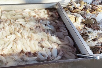 Fresh squid and crabs is arrayed in neat rows at a market, showcasing the raw, unadorned beauty of...