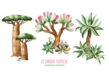 Watercolor compositions with succulents,cactus,dragon trees,baobabs and stones. Tropical collection.Perfect for your project, wedding, invitations, wallpapers, prints, textile etc