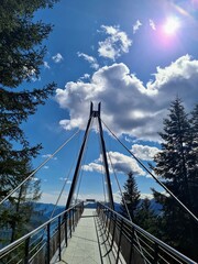 Passerella panoramica di Cardada