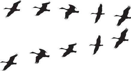 Set of silhouettes of a flock of birds migration vector illustration